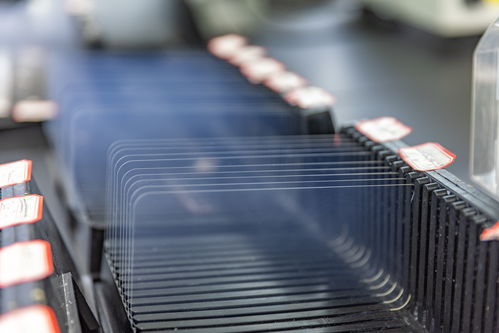 城市巡禮丨重慶 以高品質(zhì)特種鋼鑄就高質(zhì)量發(fā)展脊梁